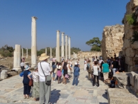 Salamis Pigrimage